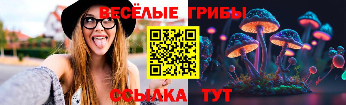 Псилоцибиновые грибы Cubensis  как найти закладки  Михайловск  Псилоцибиновые грибы мицелий  Вход с VPN 
